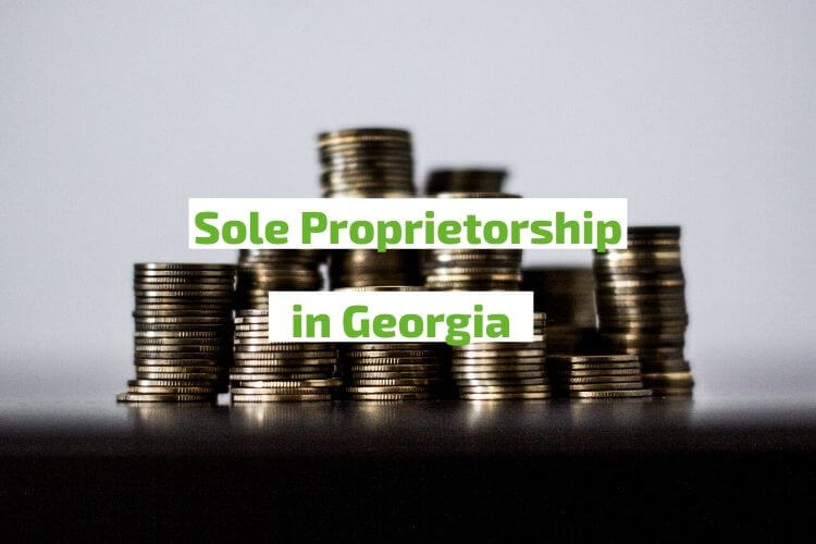 Sole Proprietorship in Georgia