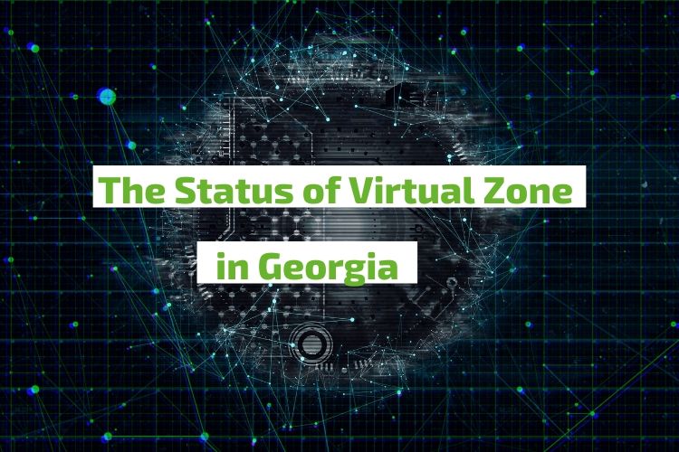 Zona Virtual de Georgia